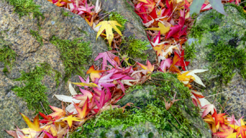 Prodej domu 180 m², Šimonovice