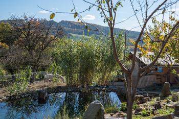Prodej domu 120 m², Březůvky
