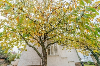 Prodej domu 214 m², Český Brod