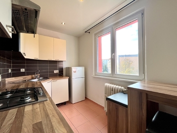 Pronájem bytu 2+1 v družstevním vlastnictví 56 m², Praha 6 - Břevnov