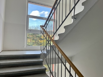 Pronájem bytu 2+1 v družstevním vlastnictví 56 m², Praha 6 - Břevnov