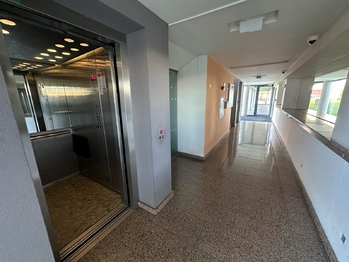 Pronájem bytu 1+kk v osobním vlastnictví 56 m², Praha 9 - Vysočany