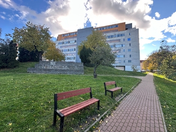 POhled na dům z parku - Pronájem bytu 1+kk v osobním vlastnictví 56 m², Praha 9 - Vysočany