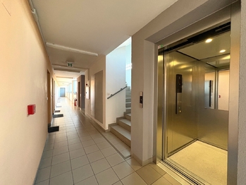 Pronájem bytu 1+kk v osobním vlastnictví 56 m², Praha 9 - Vysočany