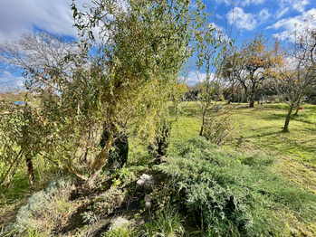 Prodej pozemku 1820 m², Lipník nad Bečvou