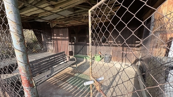 Prodej bytu 3+1 v osobním vlastnictví 109 m², Velké Meziříčí