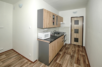 Pronájem bytu 1+1 v osobním vlastnictví 37 m², Plzeň