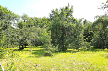 Prodej pozemku 3 m², Nové Město nad Metují