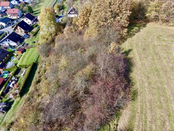 Prodej pozemku 1781 m², Hošťálková