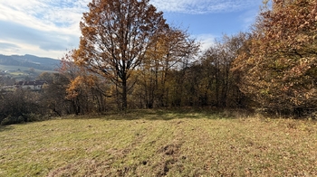 Prodej pozemku 1781 m², Hošťálková