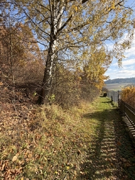 Prodej pozemku 1781 m², Hošťálková