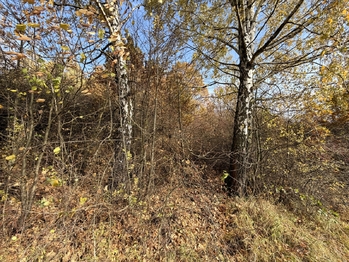 Prodej pozemku 1781 m², Hošťálková