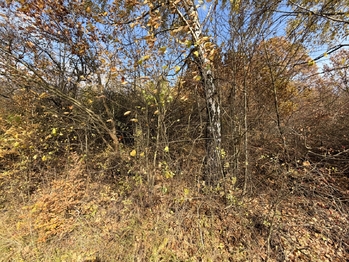 Prodej pozemku 1781 m², Hošťálková