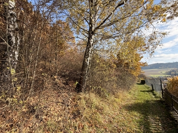 Prodej pozemku 1781 m², Hošťálková