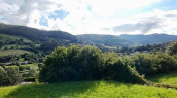 Prodej pozemku 1516 m², Horní Stropnice