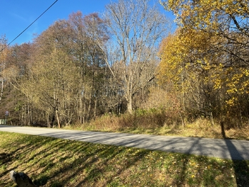 Prodej pozemku 1516 m², Horní Stropnice