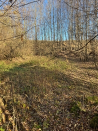 Prodej pozemku 1516 m², Horní Stropnice