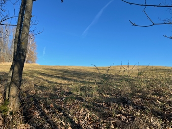 Prodej pozemku 1516 m², Horní Stropnice