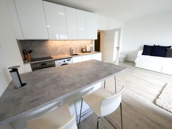 Pronájem bytu 1+kk v osobním vlastnictví 40 m², Jesenice