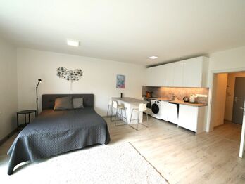 Pronájem bytu 1+kk v osobním vlastnictví 40 m², Jesenice