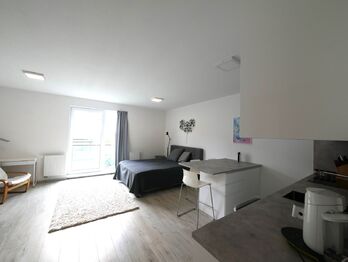 Pronájem bytu 1+kk v osobním vlastnictví 40 m², Jesenice