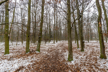 Prodej pozemku 1678 m², Praha 9 - Klánovice