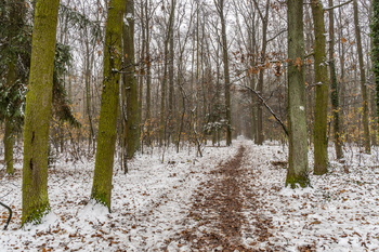 Prodej pozemku 1678 m², Praha 9 - Klánovice