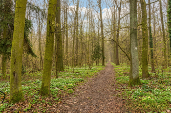 Prodej pozemku 1678 m², Praha 9 - Klánovice