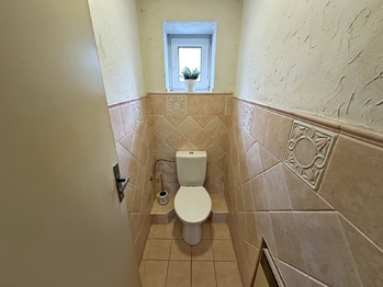 Prodej obchodních prostor 165 m², Dolní Bukovsko