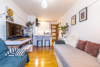 Pronájem bytu 2+kk v osobním vlastnictví 50 m², Praha 7 - Holešovice