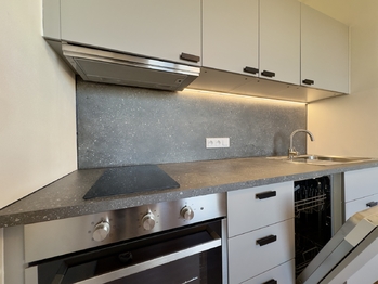 Pronájem bytu 1+1 v osobním vlastnictví 42 m², Žatec