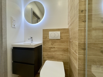 Pronájem bytu 1+1 v osobním vlastnictví 42 m², Žatec