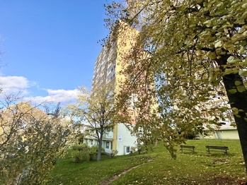 Prodej bytu 2+1 v osobním vlastnictví 56 m², Most