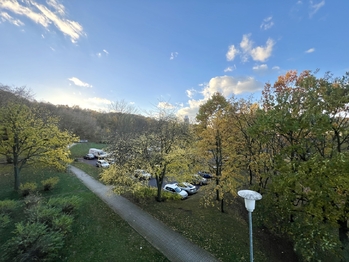 Prodej bytu 2+1 v osobním vlastnictví 56 m², Most