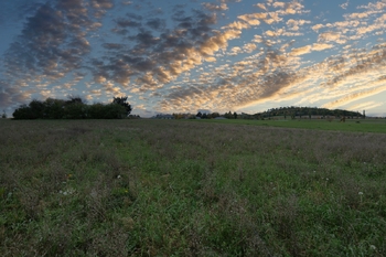 Prodej pozemku 7948 m², Sedlčany