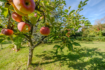 Prodej domu 160 m², Tišice