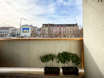 Prodej bytu 2+1 v družstevním vlastnictví 60 m², Jirkov