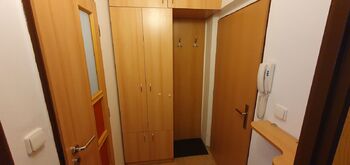 Pronájem bytu 1+kk v družstevním vlastnictví 30 m², Pardubice