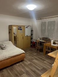 Pronájem bytu 1+kk v družstevním vlastnictví 30 m², Pardubice