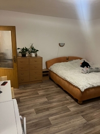 Pronájem bytu 1+kk v družstevním vlastnictví 30 m², Pardubice