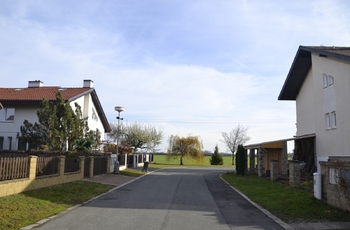 Prodej domu 220 m², Libice nad Cidlinou