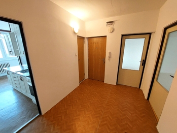 Pronájem bytu 2+1 v družstevním vlastnictví 53 m², Slavkov u Brna