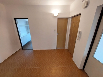 Pronájem bytu 2+1 v družstevním vlastnictví 53 m², Slavkov u Brna