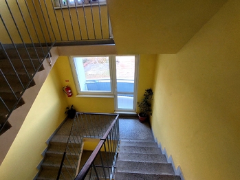 Pronájem bytu 2+1 v družstevním vlastnictví 53 m², Slavkov u Brna