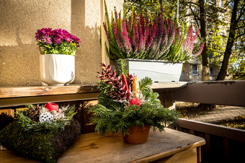 Jen nasát tu vůni - Prodej bytu 3+1 v družstevním vlastnictví 72 m², Teplice