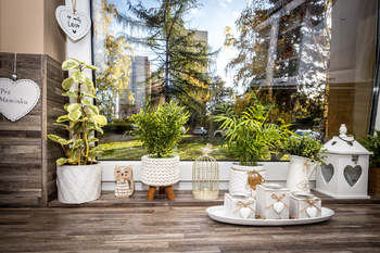 Příroda za i před oknem - Prodej bytu 3+1 v družstevním vlastnictví 72 m², Teplice