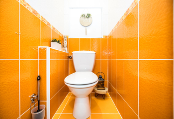 Toaleta - Prodej bytu 3+1 v družstevním vlastnictví 72 m², Teplice