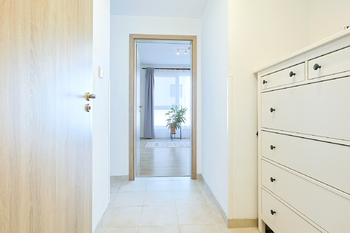 Pronájem bytu 2+kk v osobním vlastnictví 8657 m², Plzeň