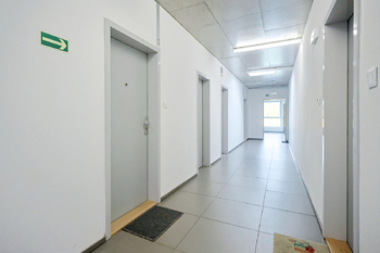 Pronájem bytu 2+kk v osobním vlastnictví 8657 m², Plzeň