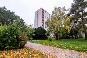 Prodej bytu 3+1 v osobním vlastnictví 61 m², Mladá Boleslav